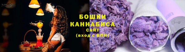 молекула духа Гусев