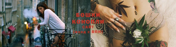 амф Гусиноозёрск