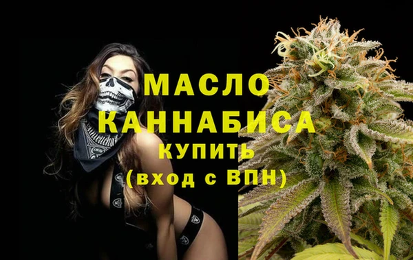 молекула духа Гусев