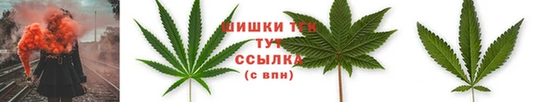 молекула духа Гусев