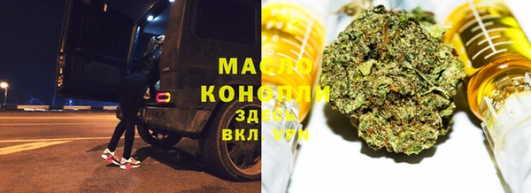 амф Гусиноозёрск
