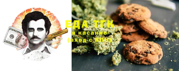 амф Гусиноозёрск
