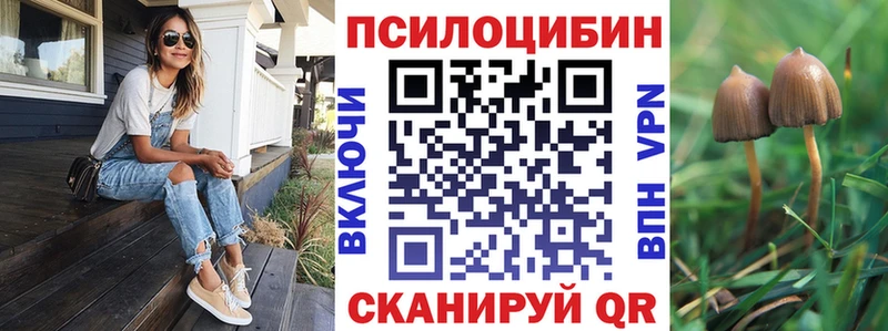 Псилоцибиновые грибы Psilocybine cubensis  сколько стоит  Сыктывкар 